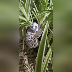 Adorable Sloth Plant Hanger